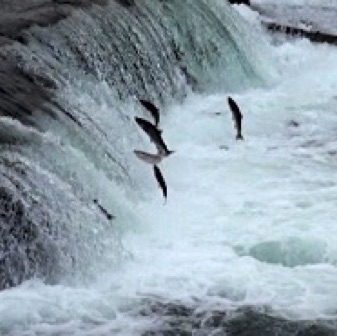 Screen Shot 2016-07-08 at 9.25.20 PM.jpg